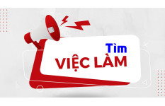  Techincal Leader 8 năm KN 