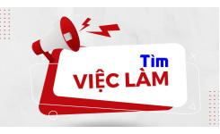  Techincal Leader 8 năm KN 