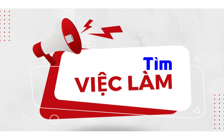 Techincal Leader 8 năm KN 